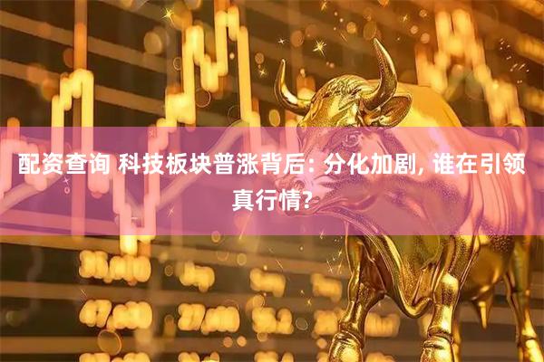 配资查询 科技板块普涨背后: 分化加剧, 谁在引领真行情?