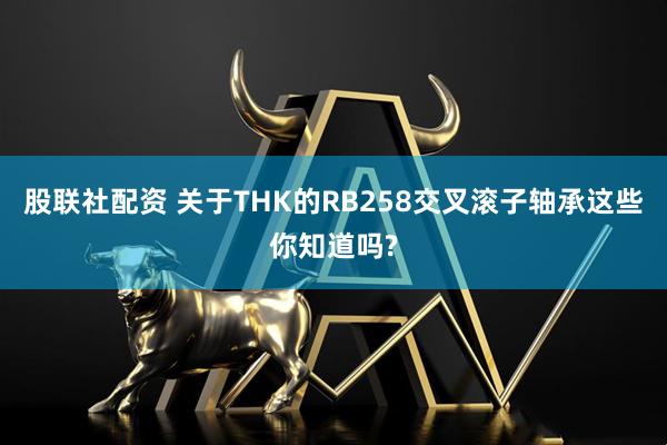 股联社配资 关于THK的RB258交叉滚子轴承这些你知道吗?